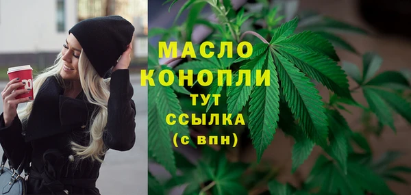 дурь Гусев