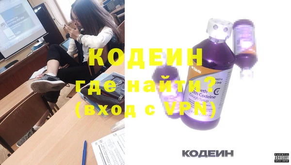 дурь Гусев