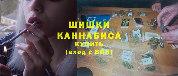 винт Гусь-Хрустальный