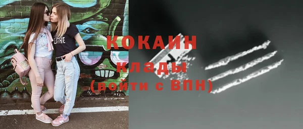 винт Гусь-Хрустальный