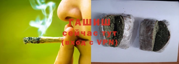 дурь Гусев
