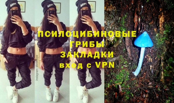 дурь Гусев