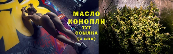 винт Гусь-Хрустальный